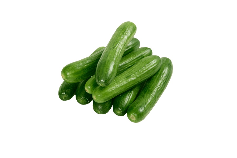 Cucumber