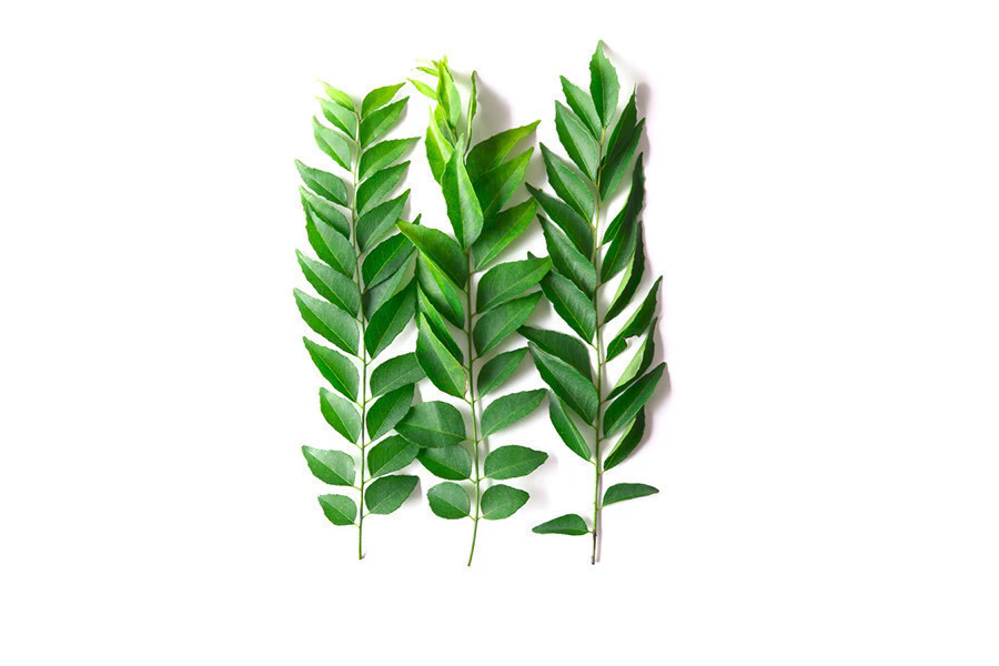 Curry Leaves
