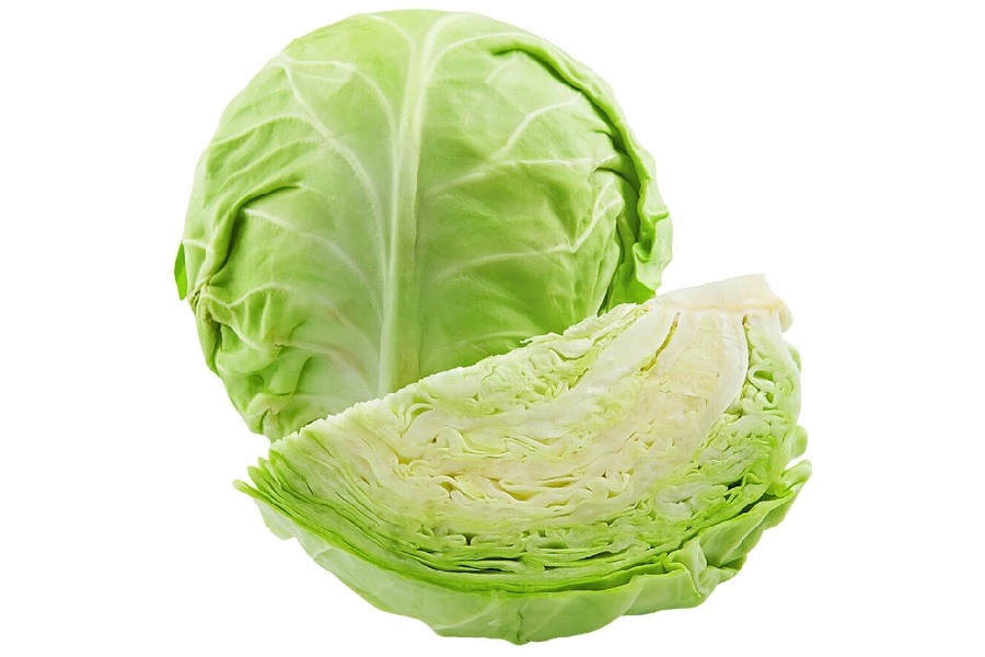 Cabbage
